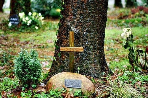 Trauredner München | Beerdigung in einem Friedwald