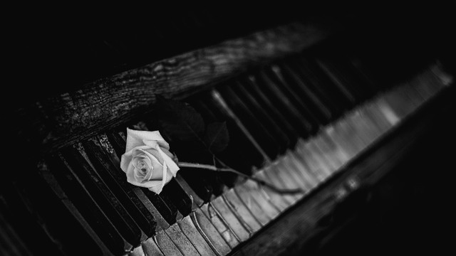 Trauerredner Berlin | Altes Klavier mit Rose