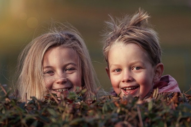 Zwei Kinder schauen über einen Busch