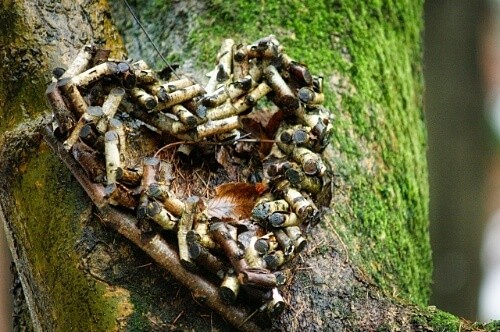 Trauredner München | Herz aus Holz in einem Friedwald
