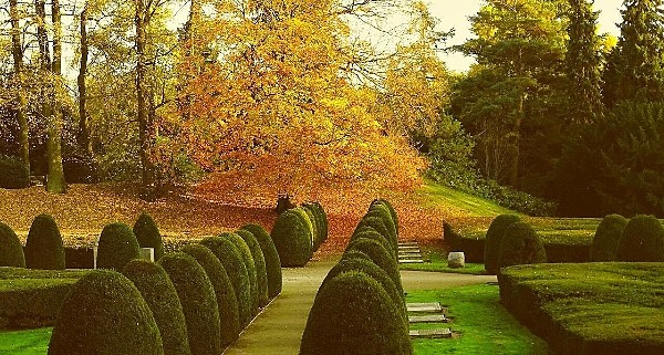 Friedhof in Hamburg