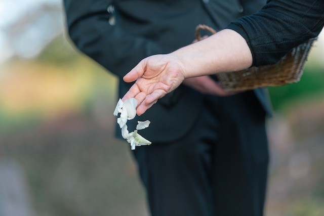 Trauerredner aus Frankfurt | Hinterbliebene werfen Blütenblätter ins Grab des Verstorbenen