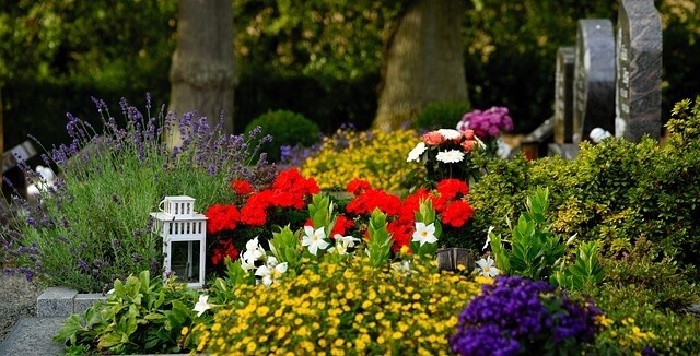 Trauerredner | Blick auf Blume auf Grabstätten