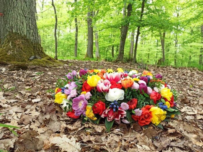 Trauerredner Bottrop / Trauerrednerin Bottrop finden 2 Blumenkranz im Wald