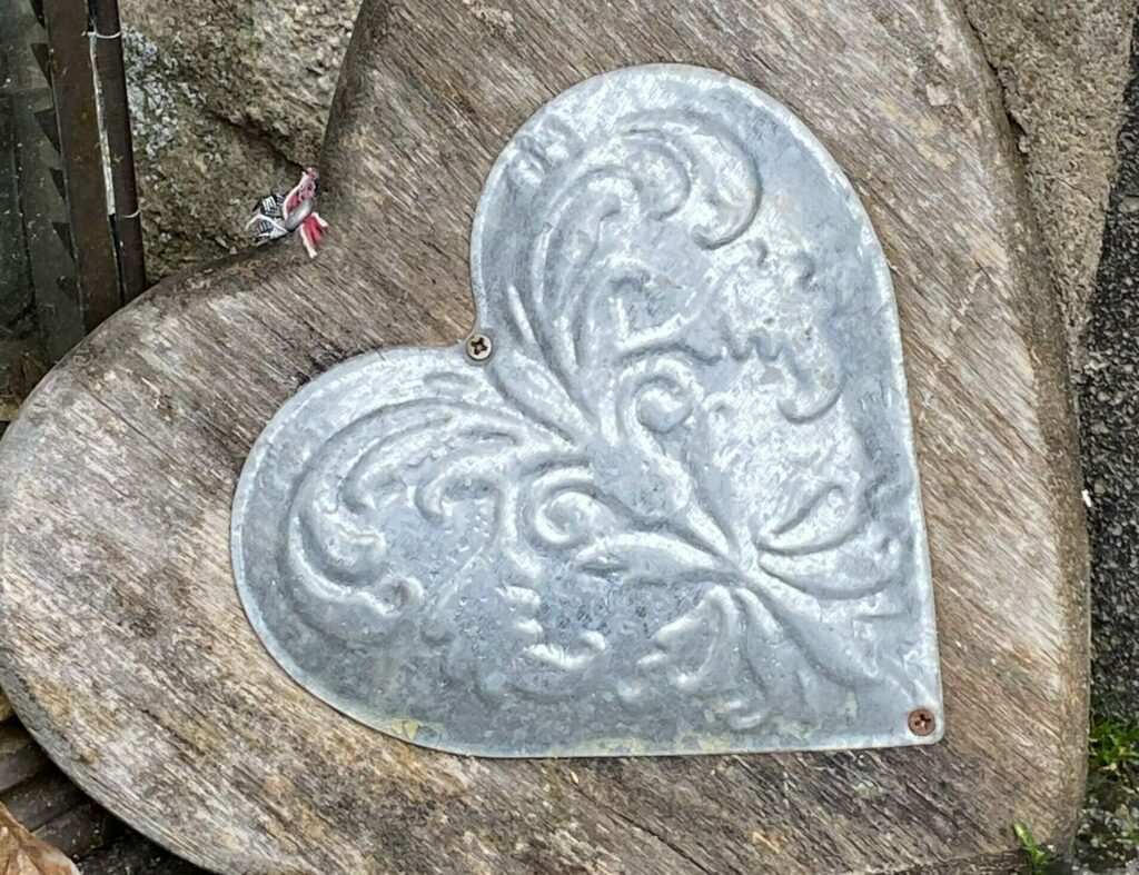 image 3 rotated e1688742436262@1x