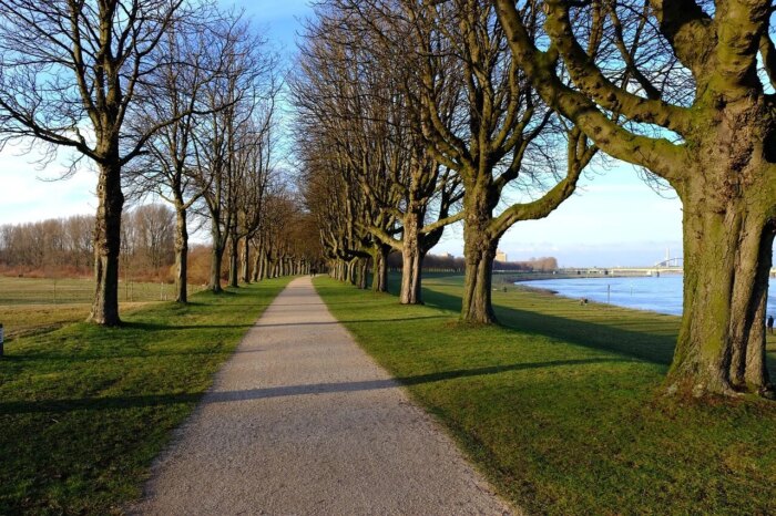 Trauerredner Neuss / Trauerrednerin Neuss hier finden 1 Trauerredner Neuss