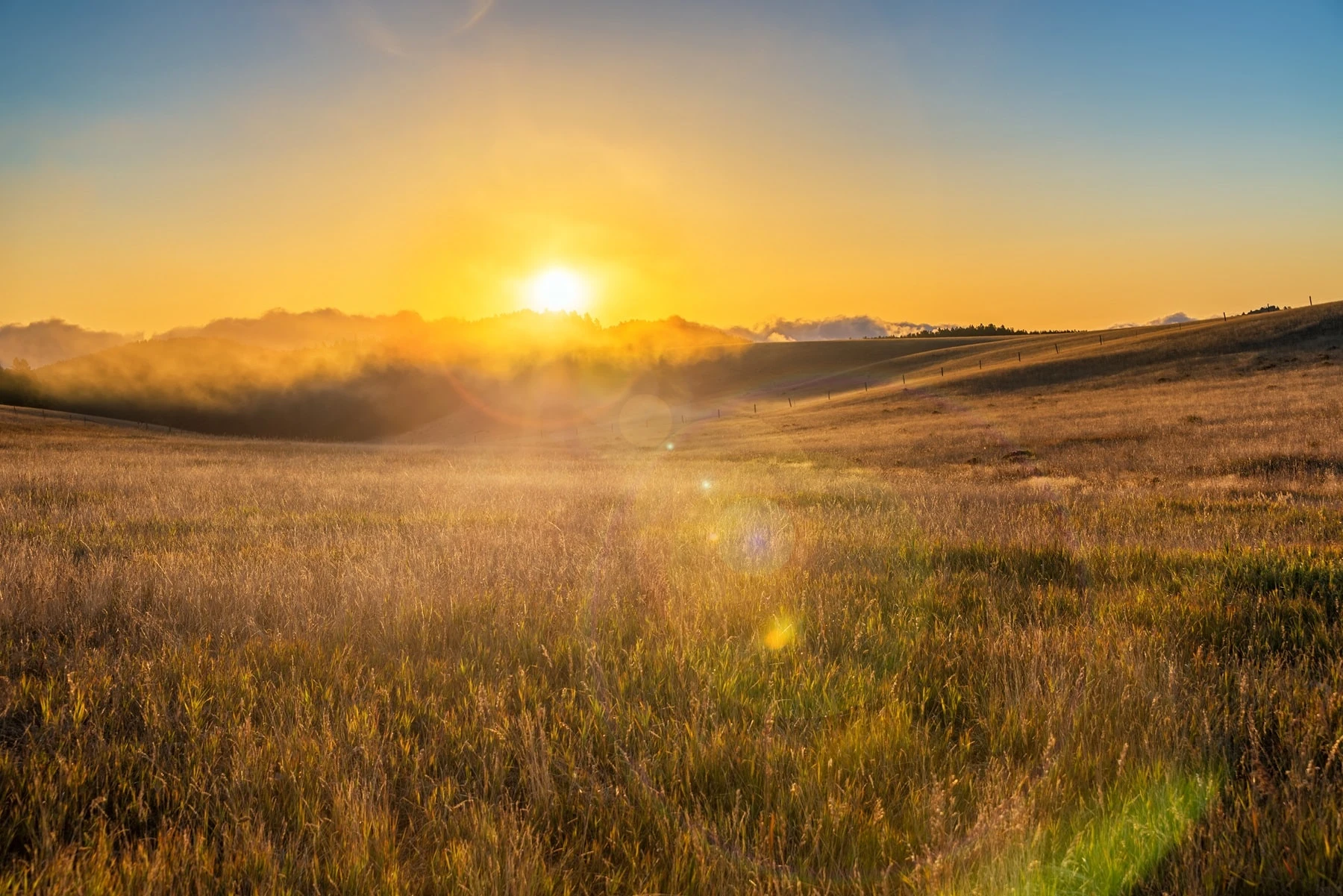 Trauredner Remscheid - die Sonne geht über einem Feld auf