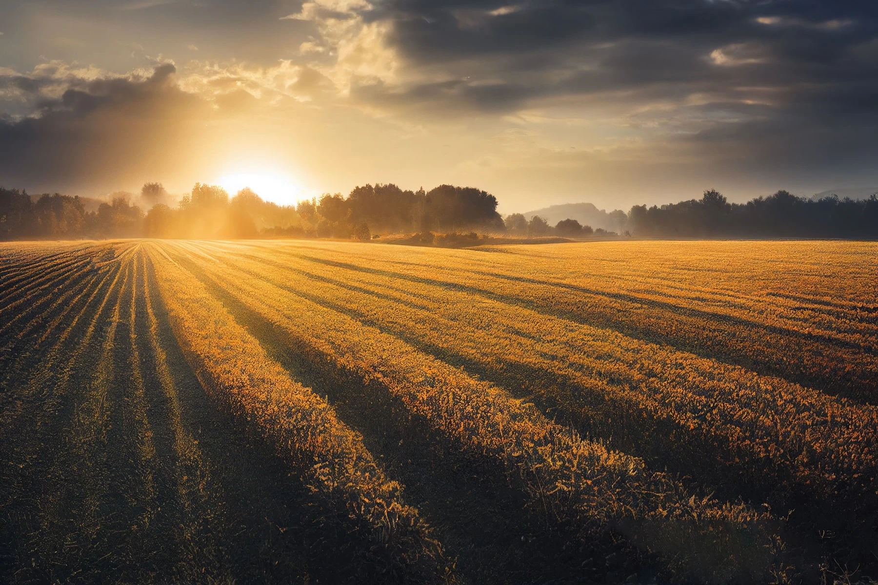 Traurednerin Remscheid - wundervoller Sonnenaufgang in der Landwirtschaft