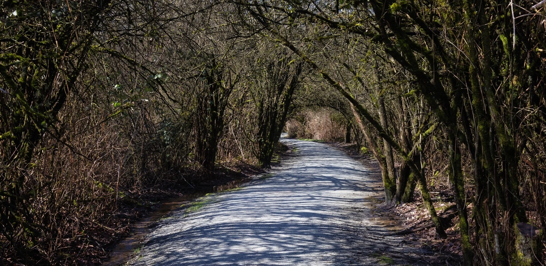 Trauerrednerin / Trauerredner Bergisch Gladbach finden 1 Trauerredner Bergisch Gladbach - ein schwerer Weg