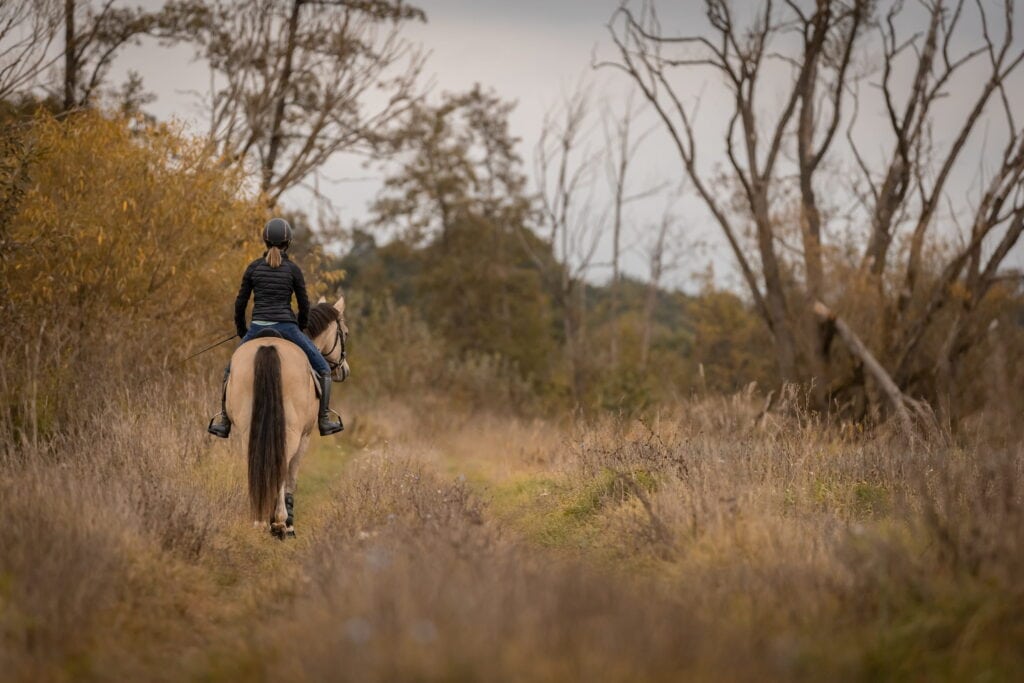 Trauerbewältigung Haustier – Unterstützung, wenn der treue Begleiter geht 1 Reiter auf einem Pfad durch eine herbstliche Landschaft mit Bäumen und trockenem Gras.