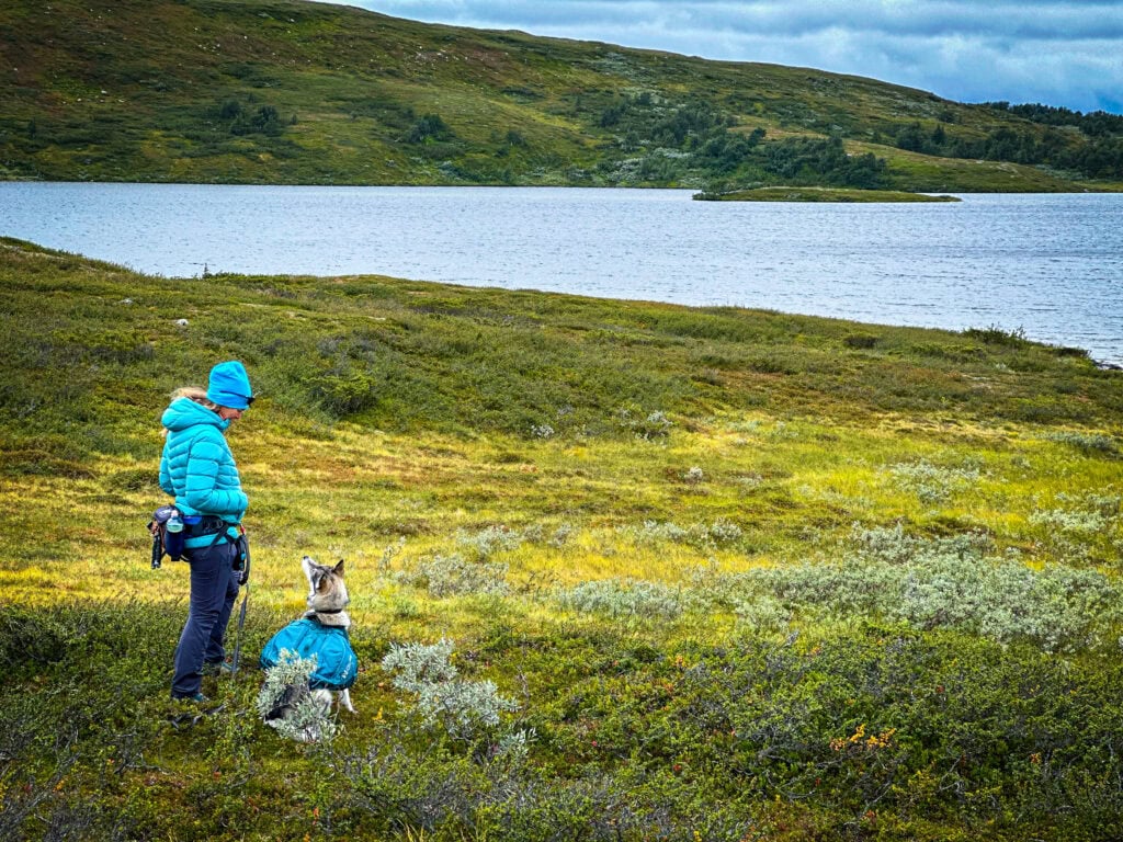 Zwei Wanderer mit Hund in der Natur bei einem See, umgeben von grünen Hügeln und bewölktem Himmel, ideal für Outdoor-Aktivitäten und Naturerkundungen.